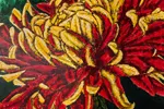 Chrysanthemum Fuego | Autumn Flower