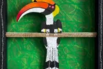 WOOT WOO – GREAT HORNBILL