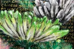 Chrysanthemum 01 | Encaustic Art