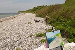 Baumwurzel /Ostsee /Jørbæk / Ærø