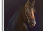 Motion Horse - Original Painting on Canvas