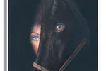Sauvage Horse - Original Painting on Canvas
