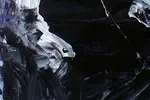 Animated Nature 002