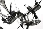 A Visual Dance Of The Imagination | B&W 002