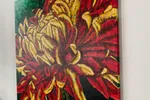 Chrysanthemum Fuego | Autumn Flower