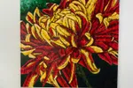 Chrysanthemum Fuego | Autumn Flower