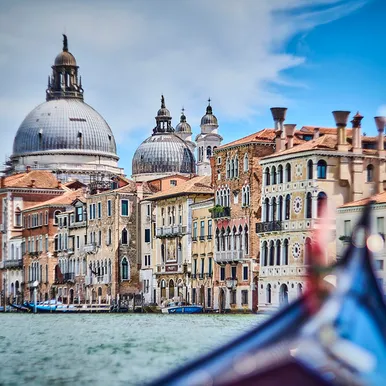 Nature's Palette: Contemporary Art Inspired by Nature