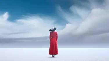 The Lady In The Red Coat
