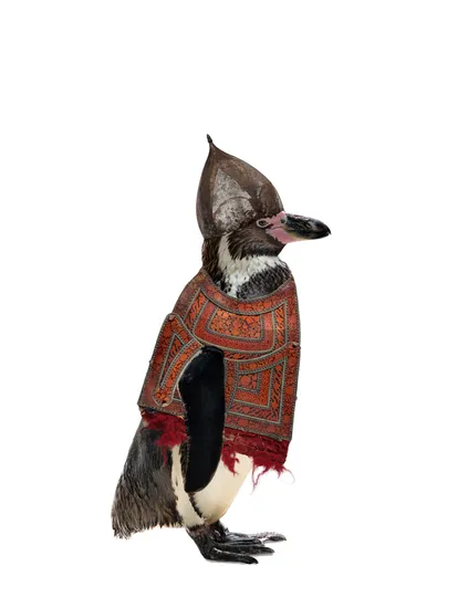 The Imperial Peguin