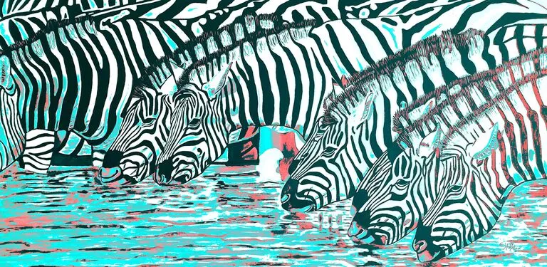 Zebras am Wasser