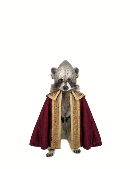 The Crimson Raccoon