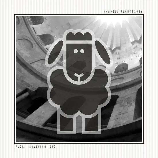Flori Jerusalem - Black Animal