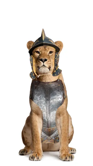 The Silver Lion