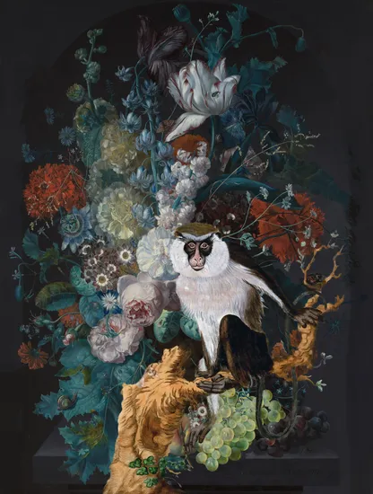 The Observer