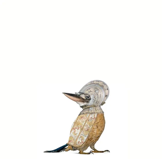 The Veiled Bird