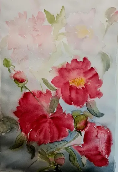 Peonies 2