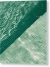 GALLERY PRINT