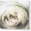 GALLERY PRINT
