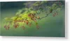 GALLERY PRINT