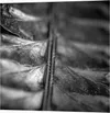 FINE ART PAPER