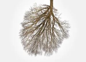 Being 47°57'17.502" N 11°3'47.25" E