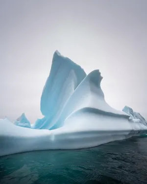 Pléneau Bay II