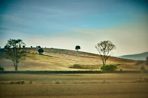 Toscana-Retro_Terra_04