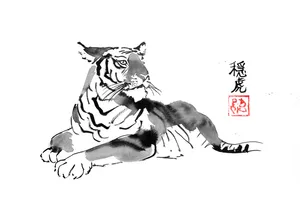 tiger