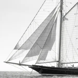 Sails 1