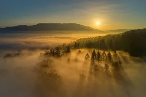 Golden Fog