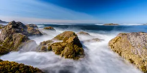 ANOTHER DAY IN PARADISE