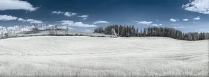 White Fields