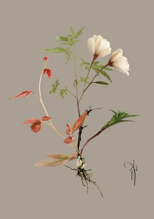 Botanical VII