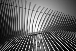 Calatrava's Lines