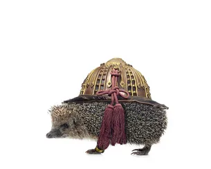 The Armored Hedgehog