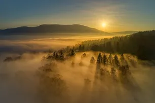 Golden Fog