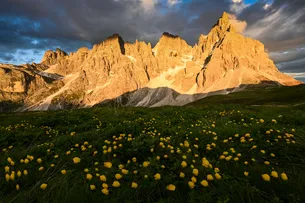 The Pale di San Martino