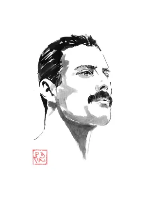 freddie portrait