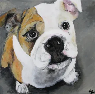 Bulldogge