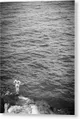 GALLERY PRINT